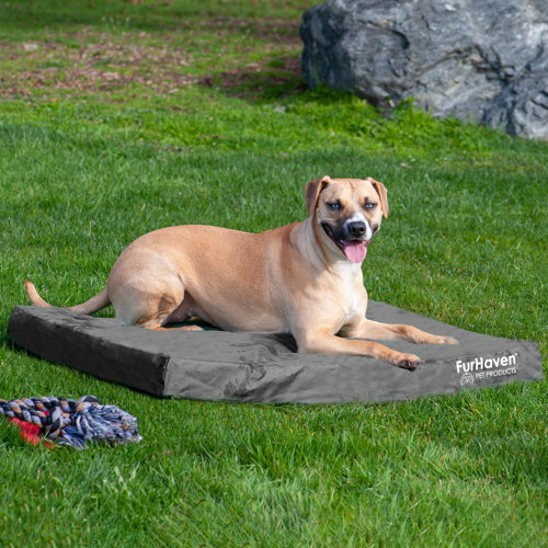 FurHaven Oxford Indoor/Outdoor Deluxe Orthopedic Pet Bed & Reviews Wayfair
